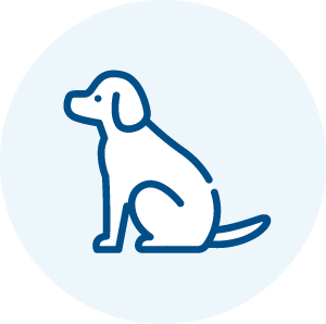 犬